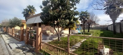 Οικόπεδο με κτίσμα  σε πλειστηριασμό Δήμος Πέλλας