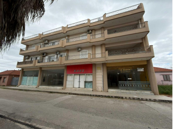 Κατοικία  σε πλειστηριασμό Δήμος Πηνειού