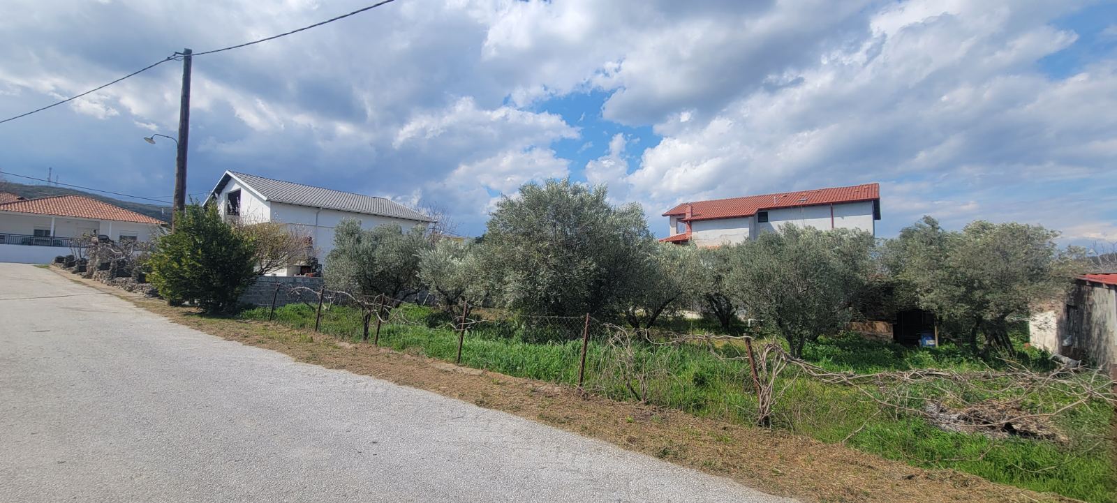 photo1