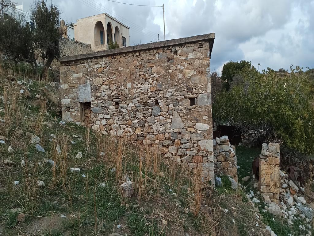 photo2