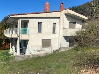 photo2