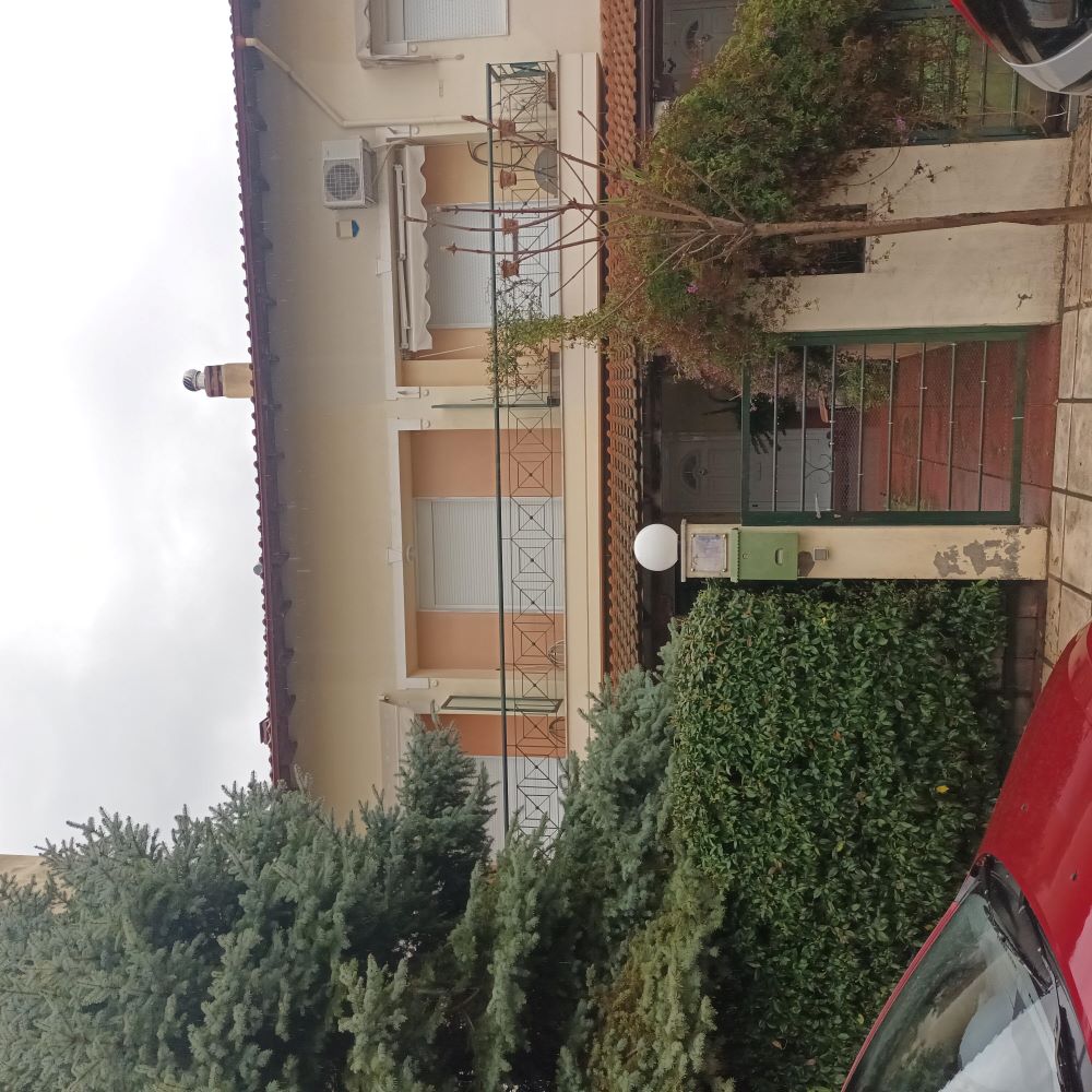 photo1