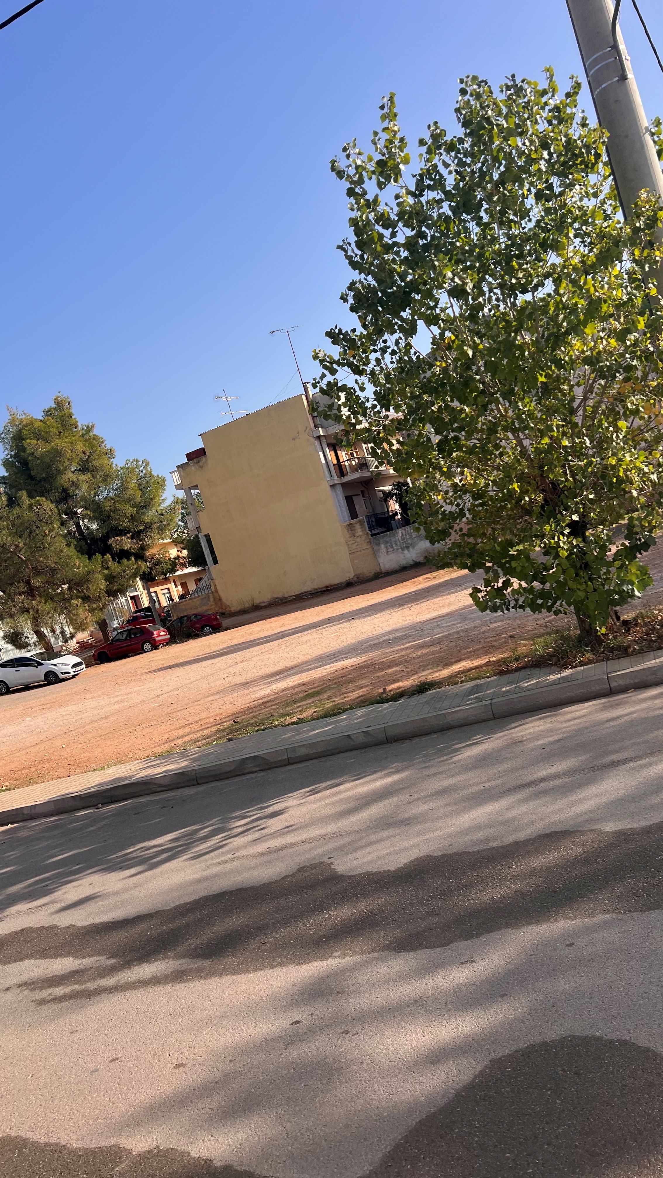 photo1