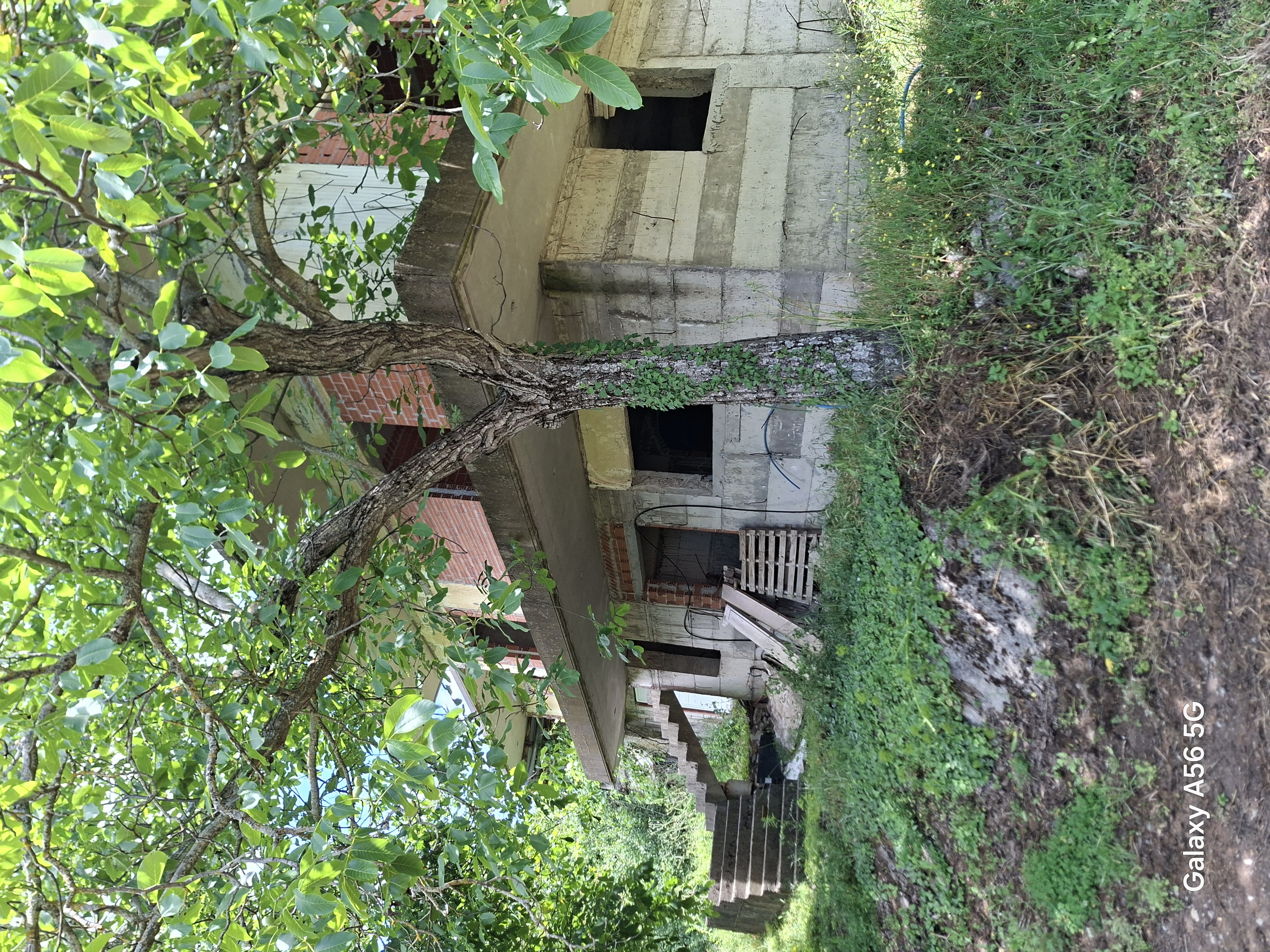 photo1