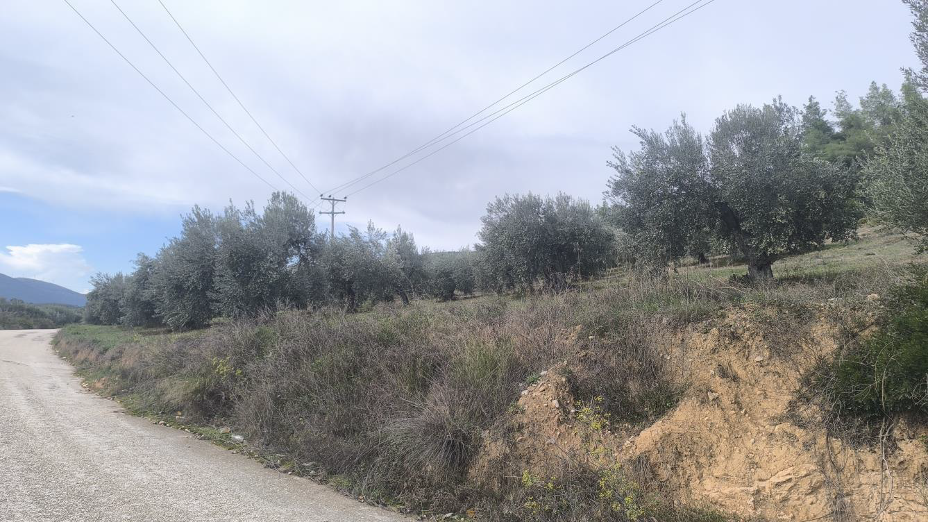 Αγροτεμάχιο  σε πλειστηριασμό Δήμος Κορινθίων