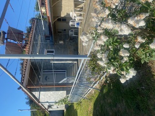 photo1
