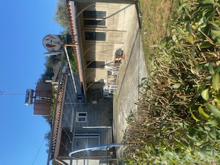 photo2