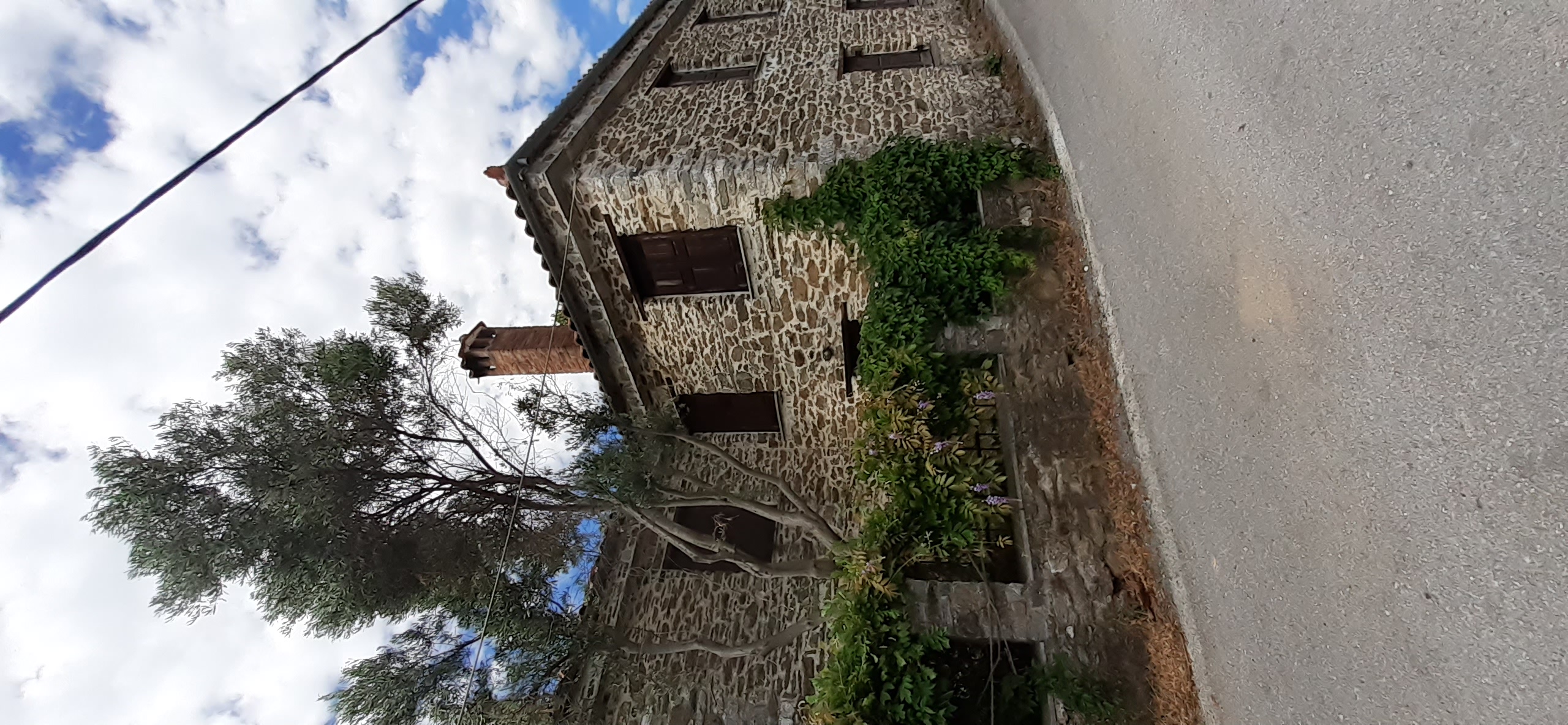 photo1