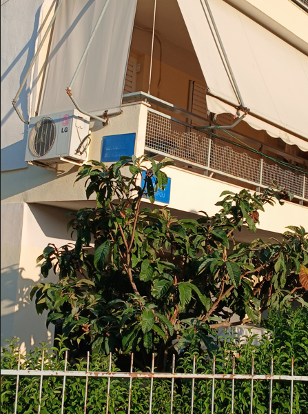 photo3