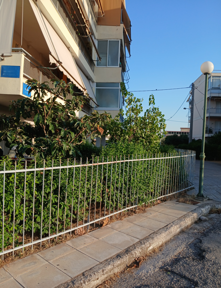 Κατοικία  σε πλειστηριασμό Δήμος Μάνδρας - Ειδυλλίας