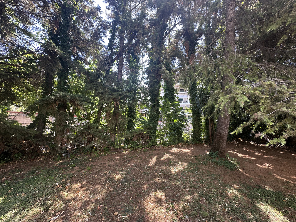 photo8