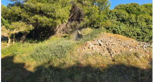 Οικόπεδο  σε πλειστηριασμό Δήμος Χίου
