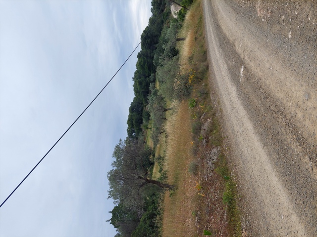 photo1