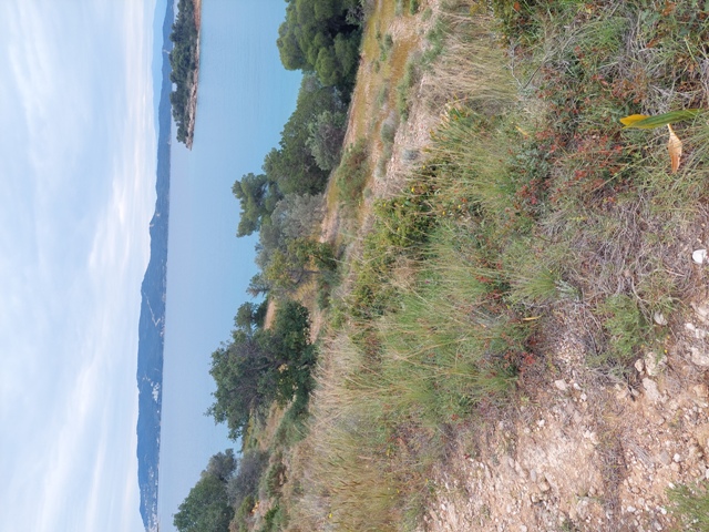 photo1