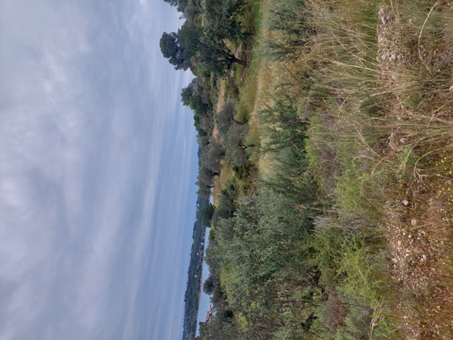photo2