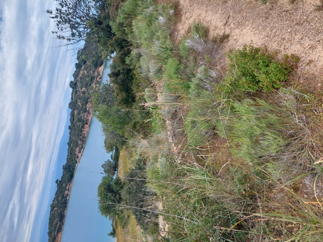 photo3