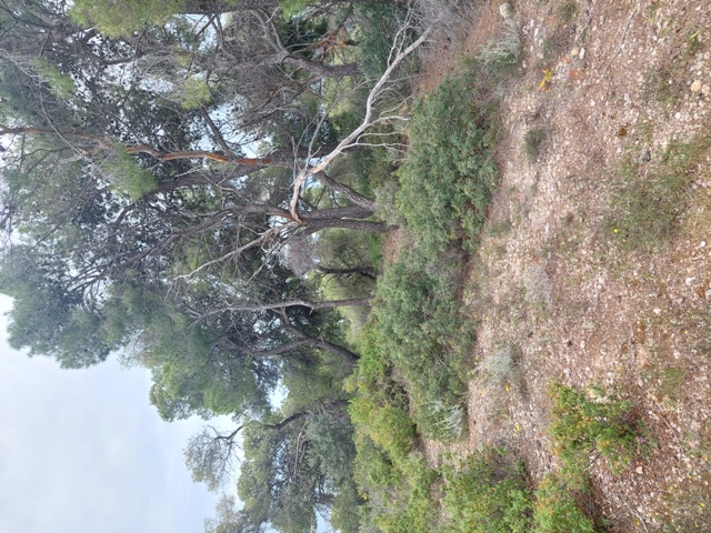 photo1