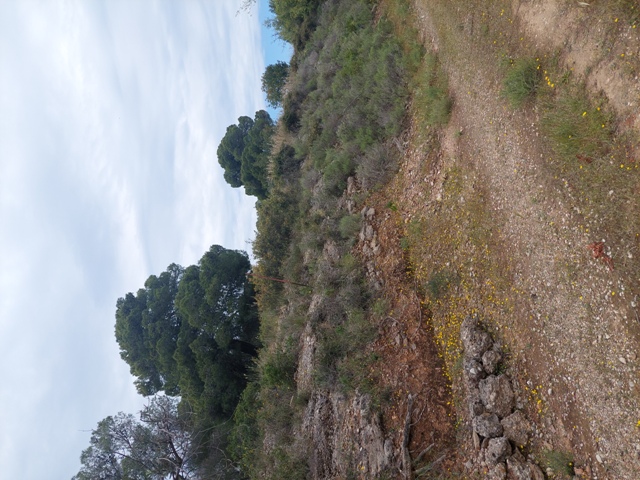 photo2