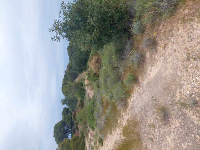 photo3