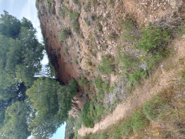photo4