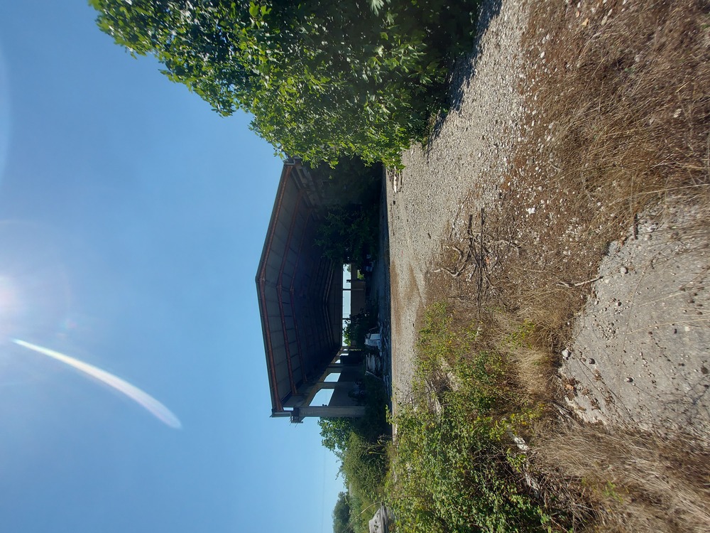 photo1