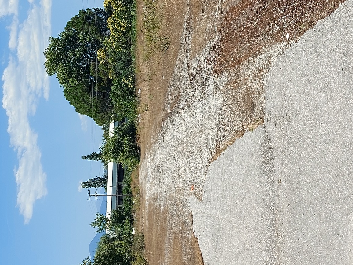 photo2
