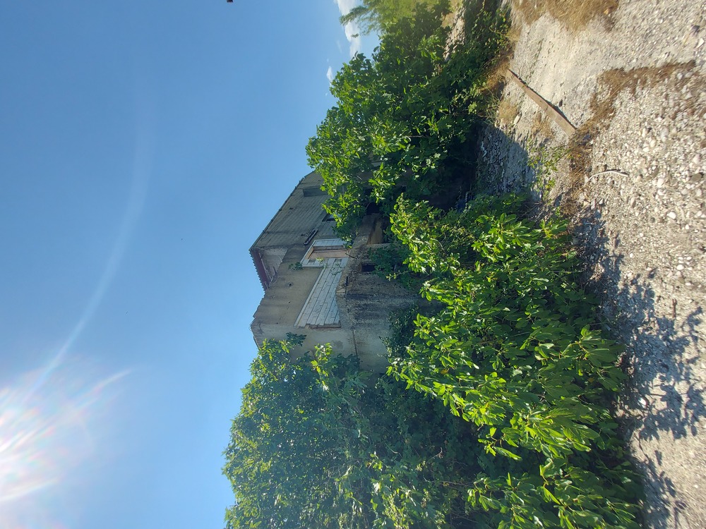 photo4