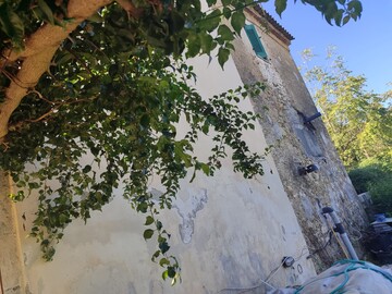 photo3