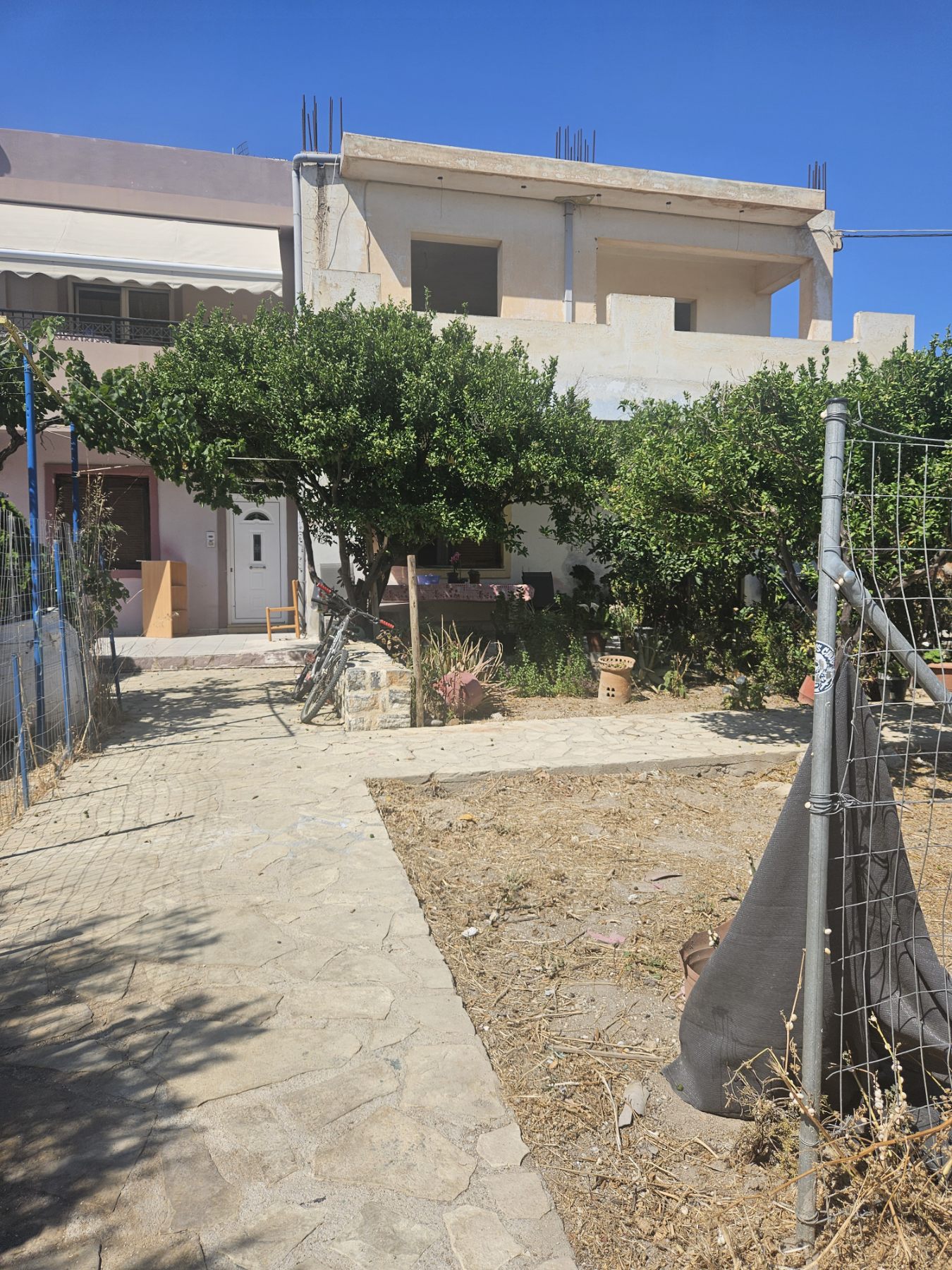 photo1