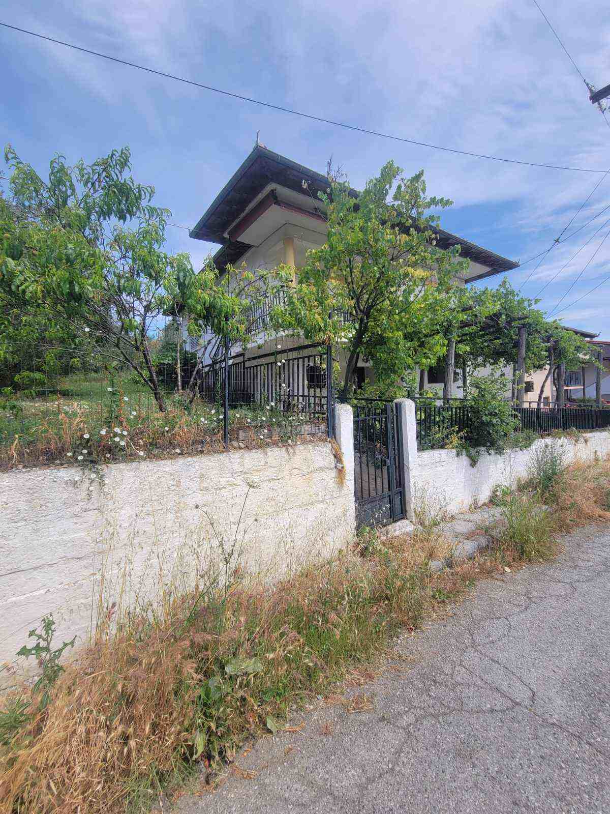 photo2