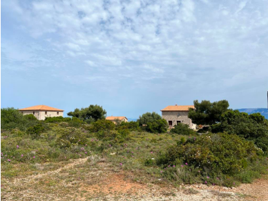 Αγροτεμάχιο με κτίσμα  σε πλειστηριασμό Δήμος Ζακύνθου