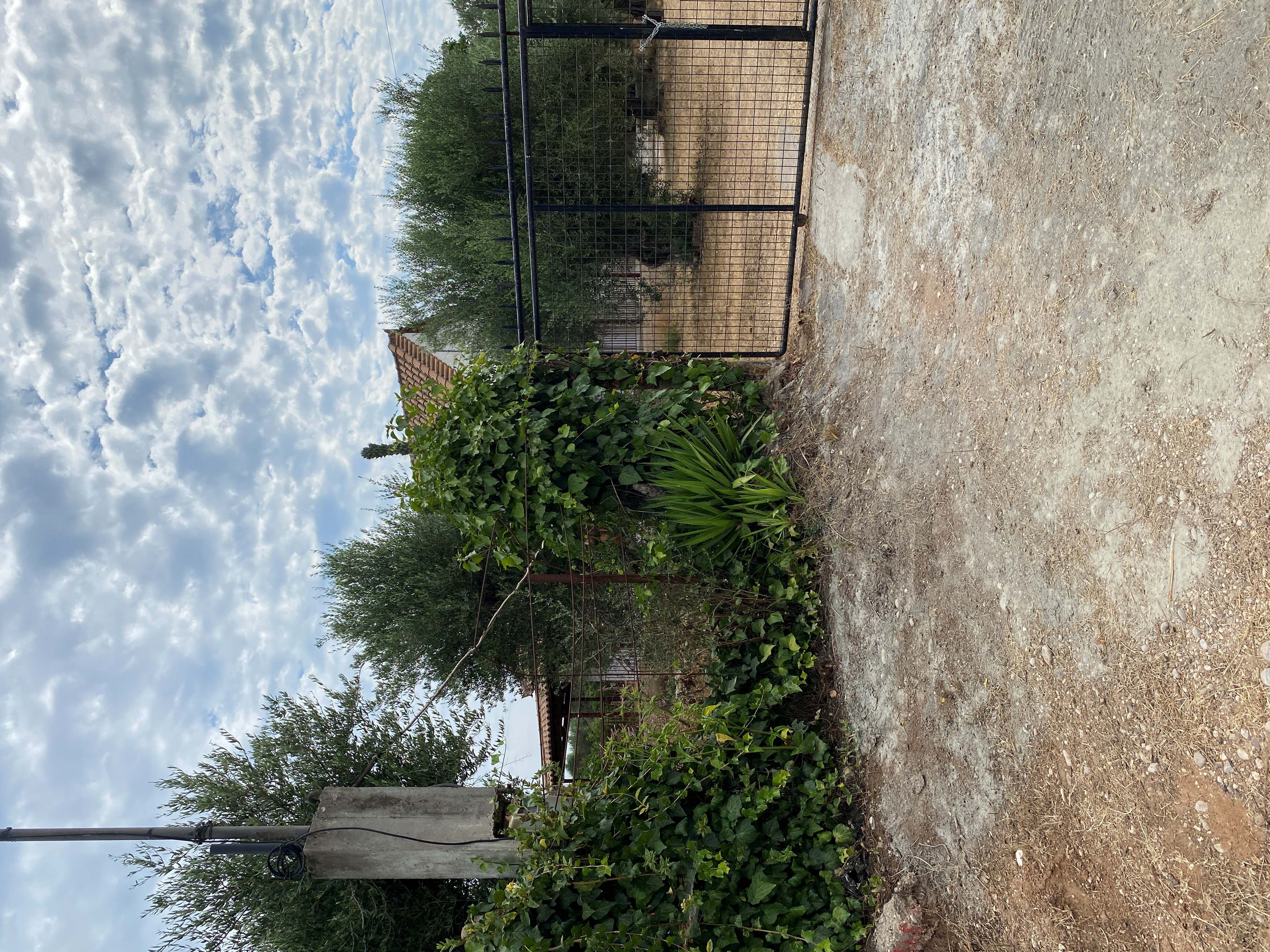 photo3