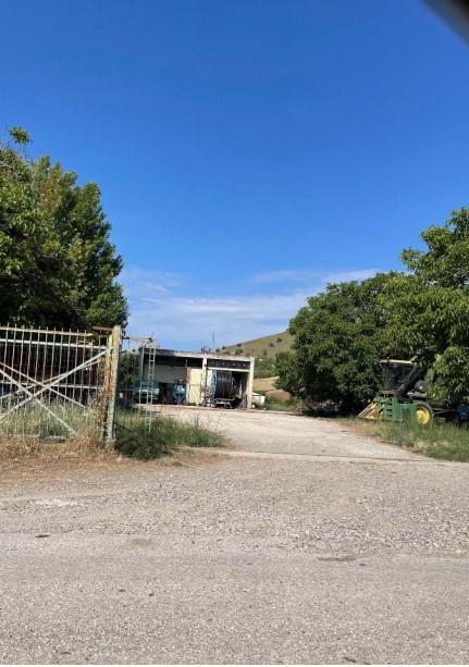 Αγροτεμάχιο με κτίσμα  σε πλειστηριασμό Δήμος Τρικκαίων