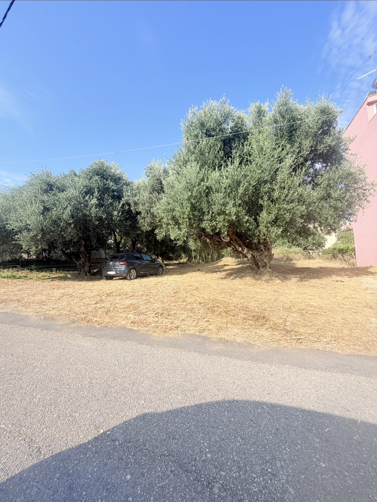Οικόπεδο  σε πλειστηριασμό Δήμος Πατρέων
