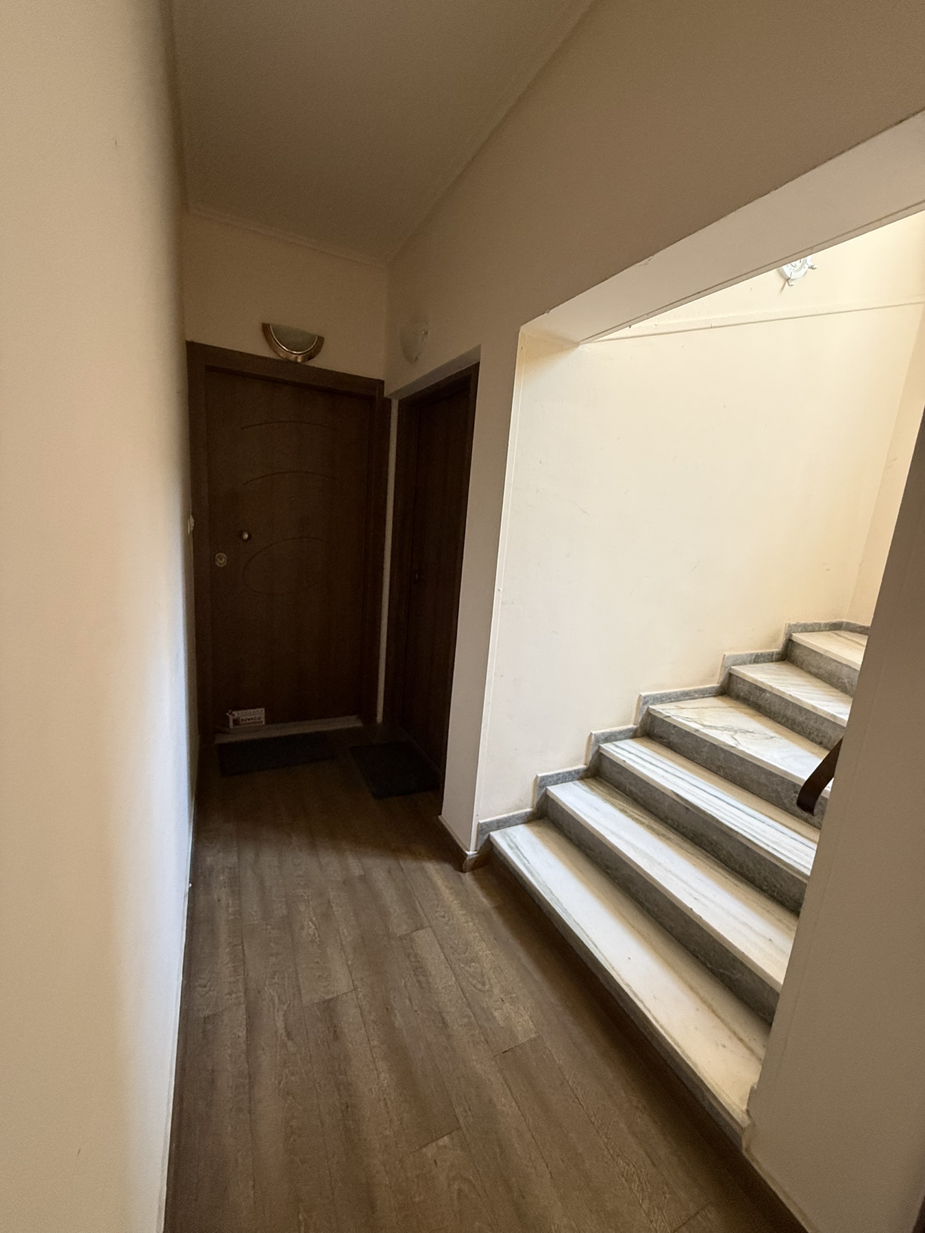 photo1