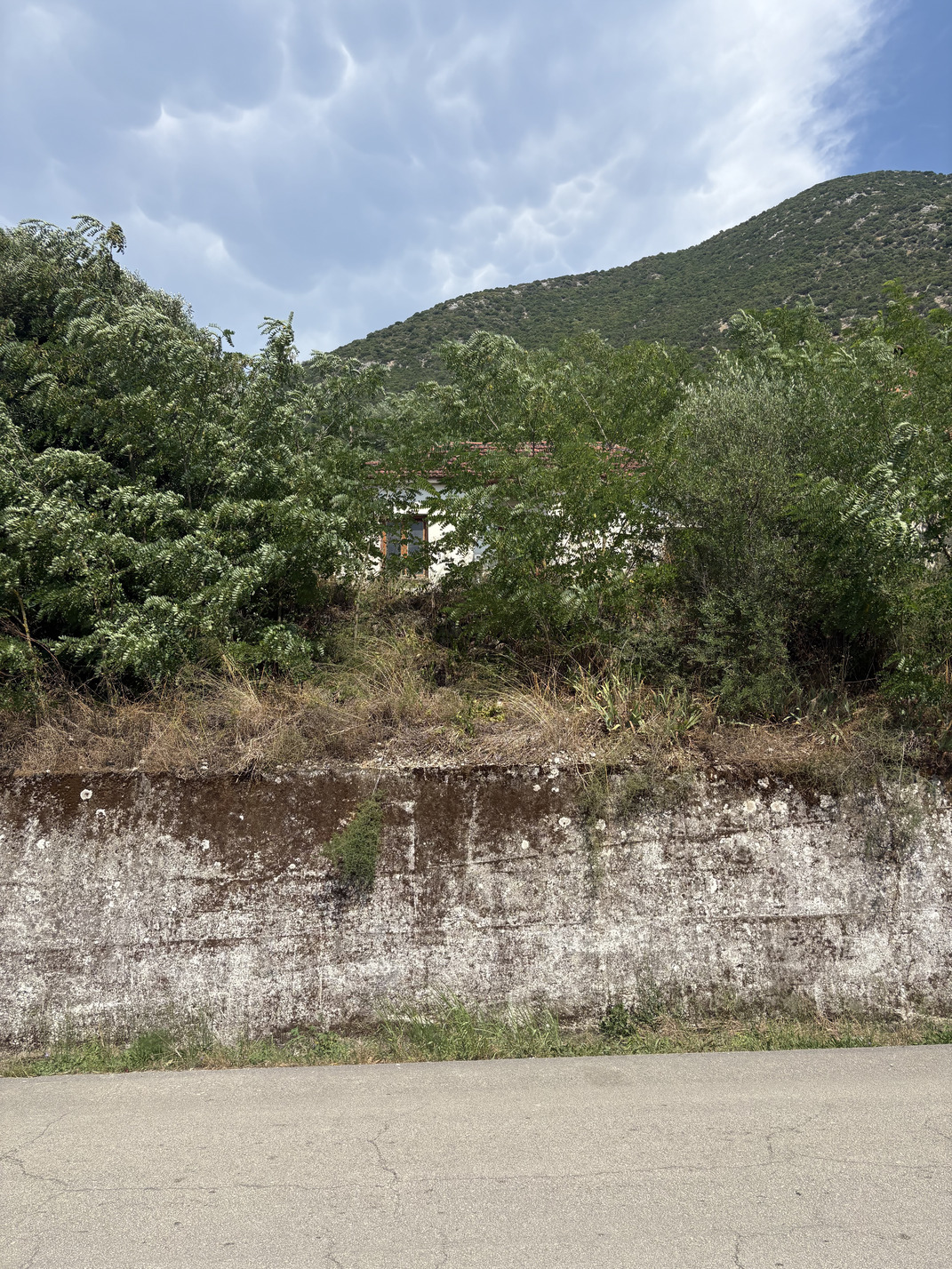photo1