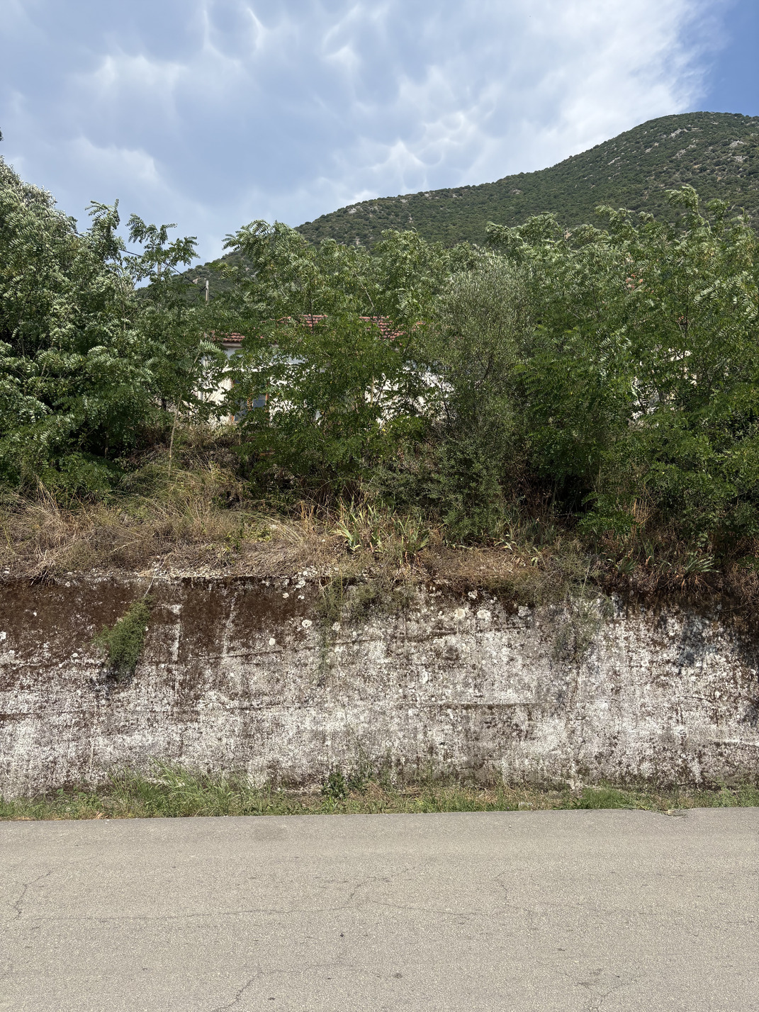 photo3