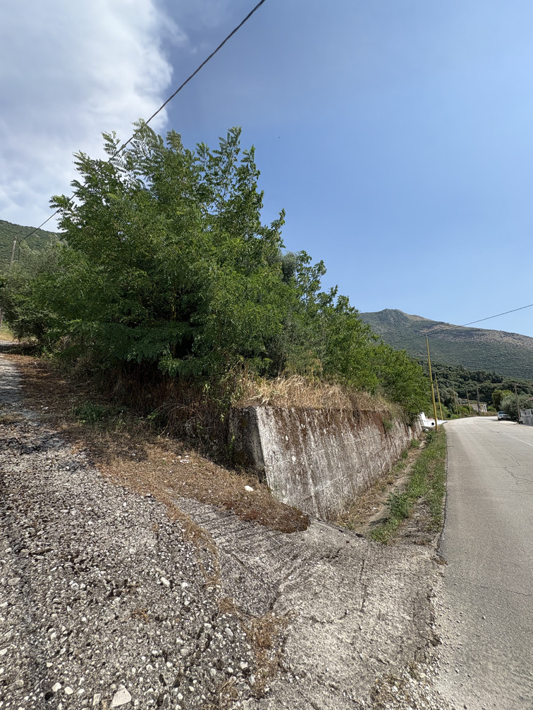 Οικόπεδο με κτίσμα  σε πλειστηριασμό Δήμος Πάργας