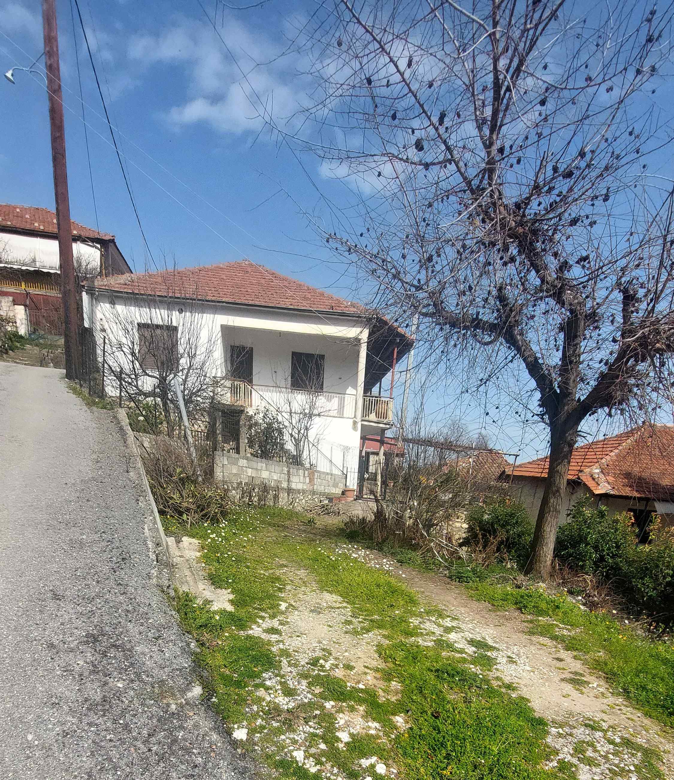 Οικόπεδο με κτίσμα  σε πλειστηριασμό Δήμος Μουζακίου