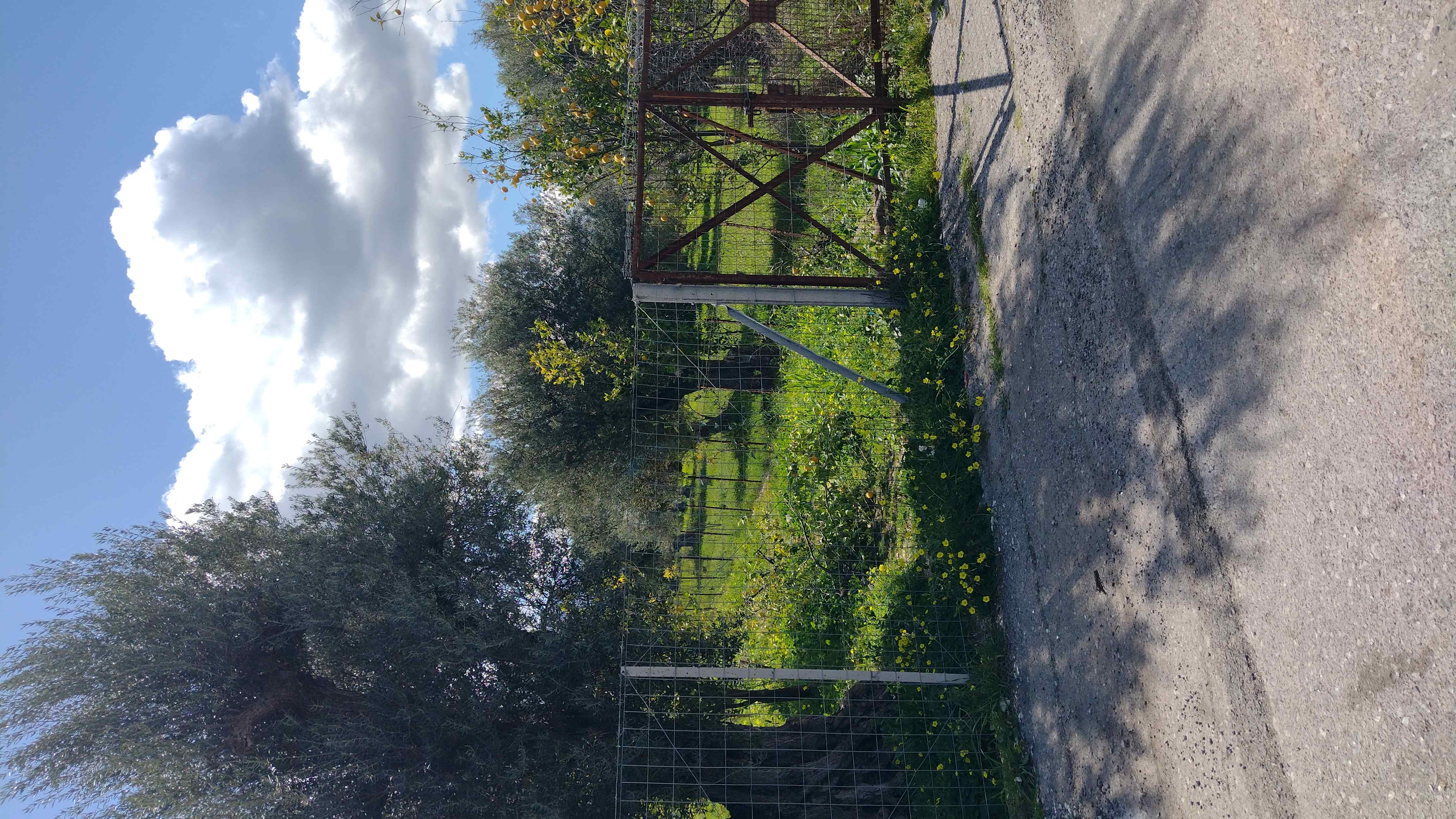 Οικόπεδο 851.49 sq.m. σε πλειστηριασμό Municipality of Aegialia