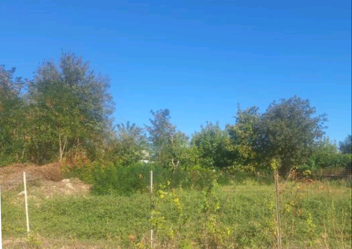 Οικόπεδο  σε πλειστηριασμό Δήμος Τρικκαίων