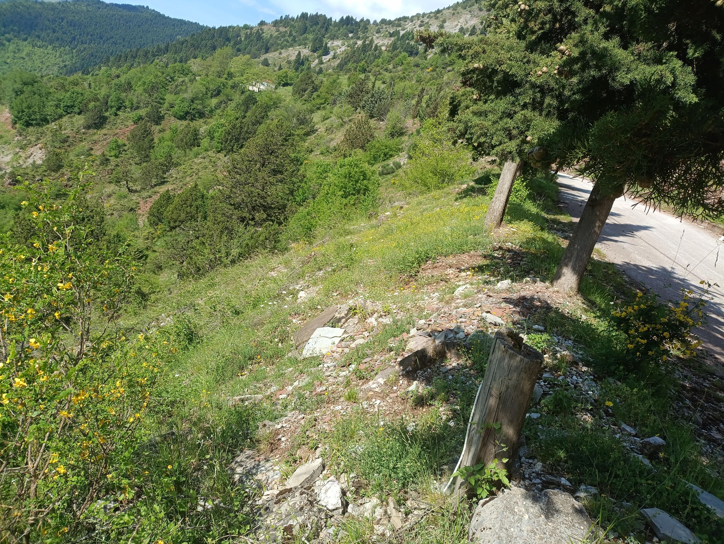 photo1