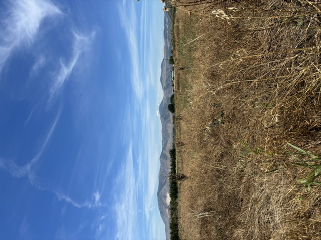 photo1