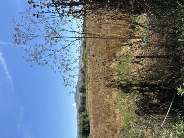 photo1