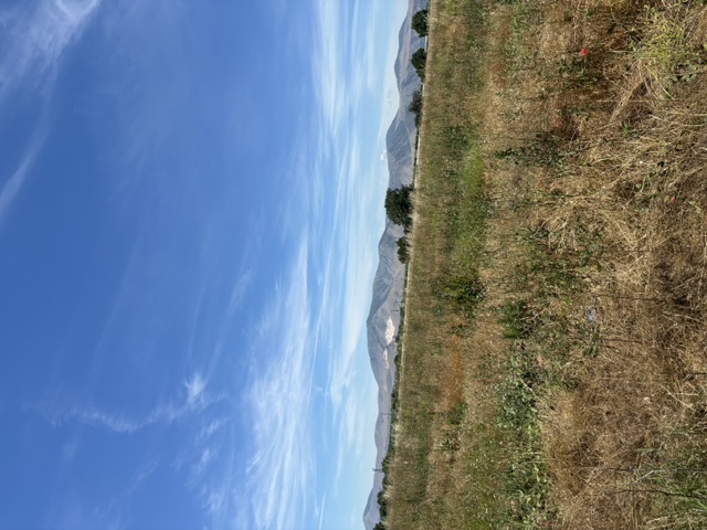 photo1
