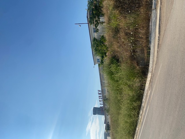 photo1