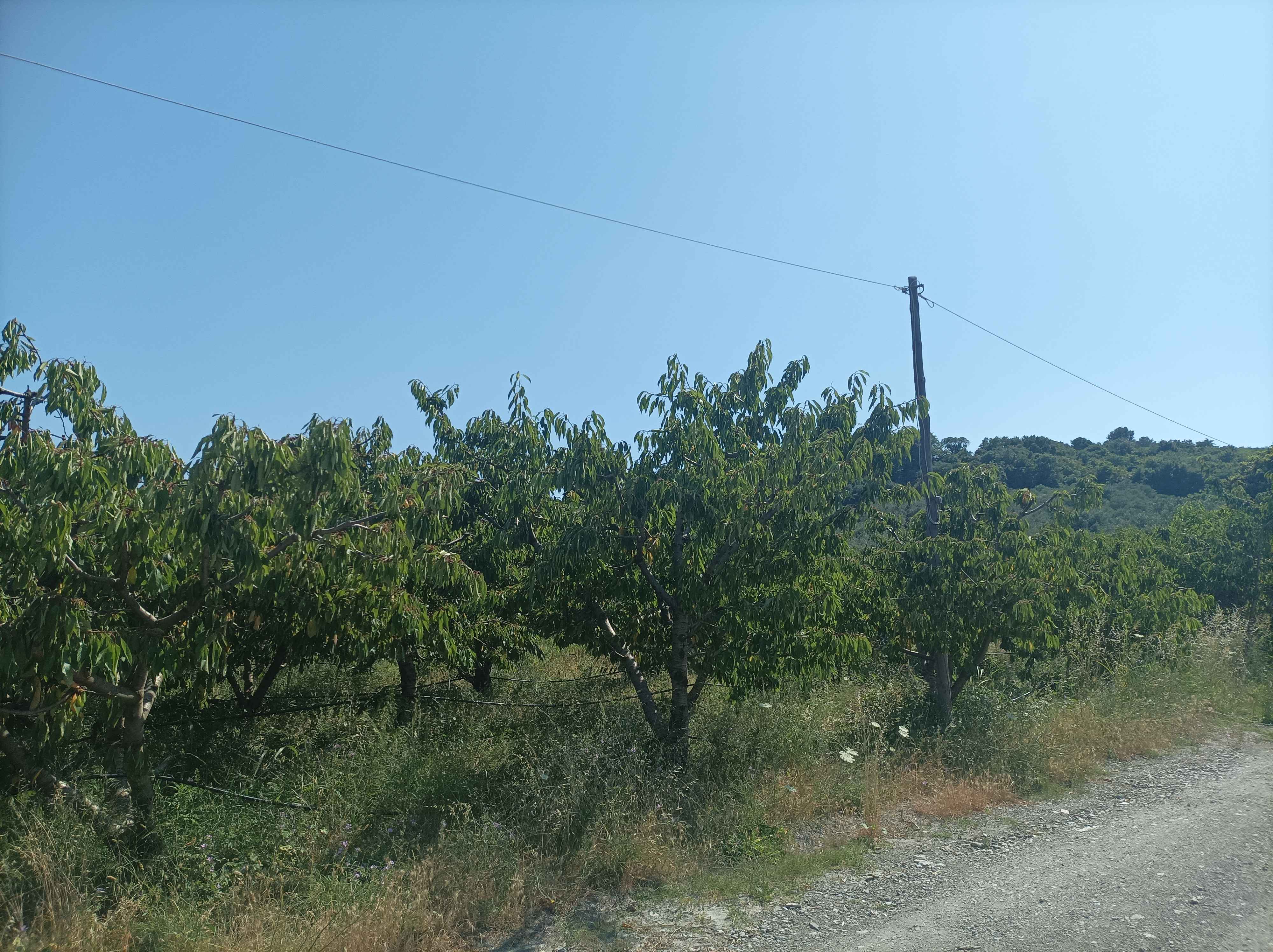 photo4