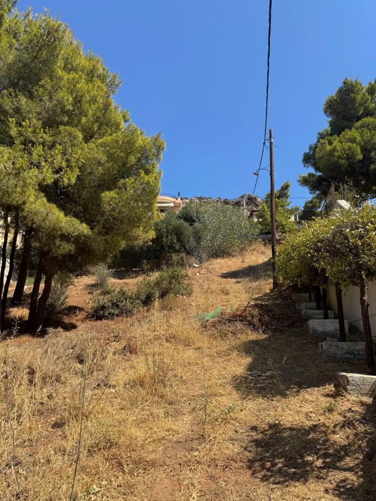 Οικόπεδο  σε πλειστηριασμό Δήμος Μαρκοπούλου Μεσογαίας