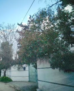 photo1