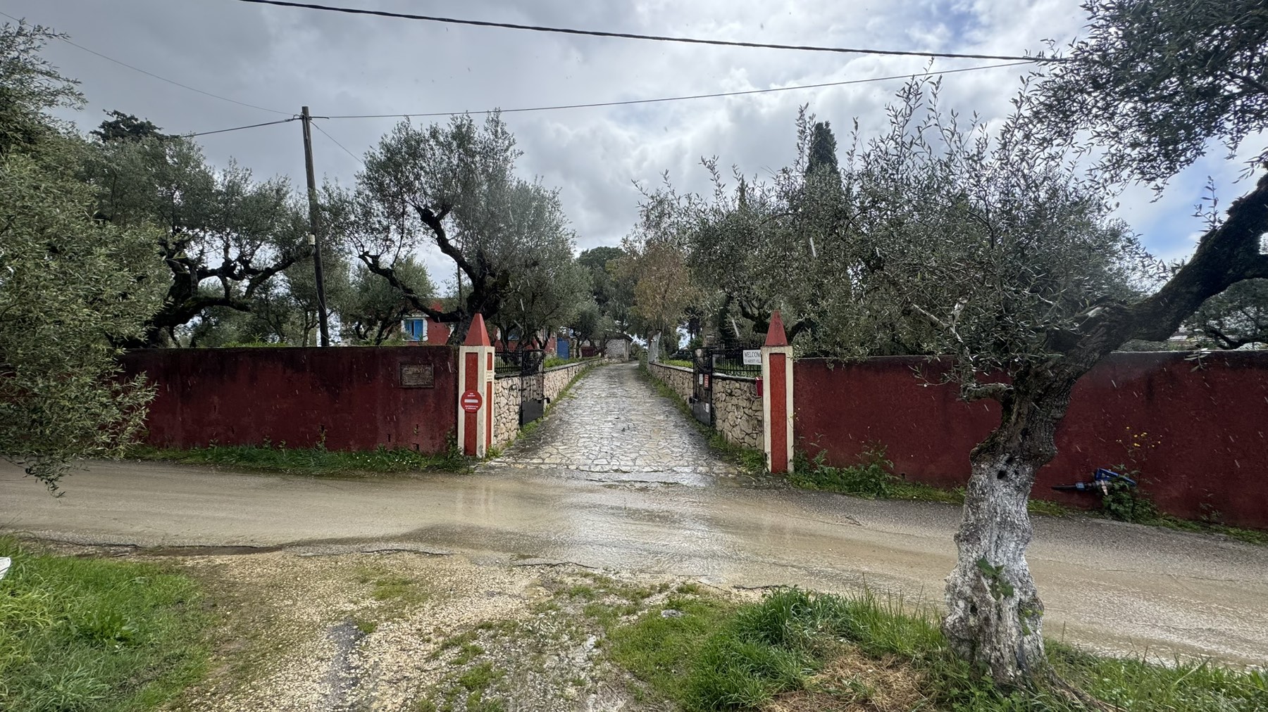 photo6